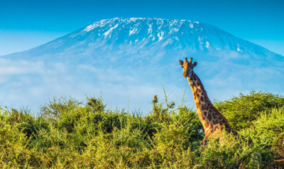 kenya-400x238